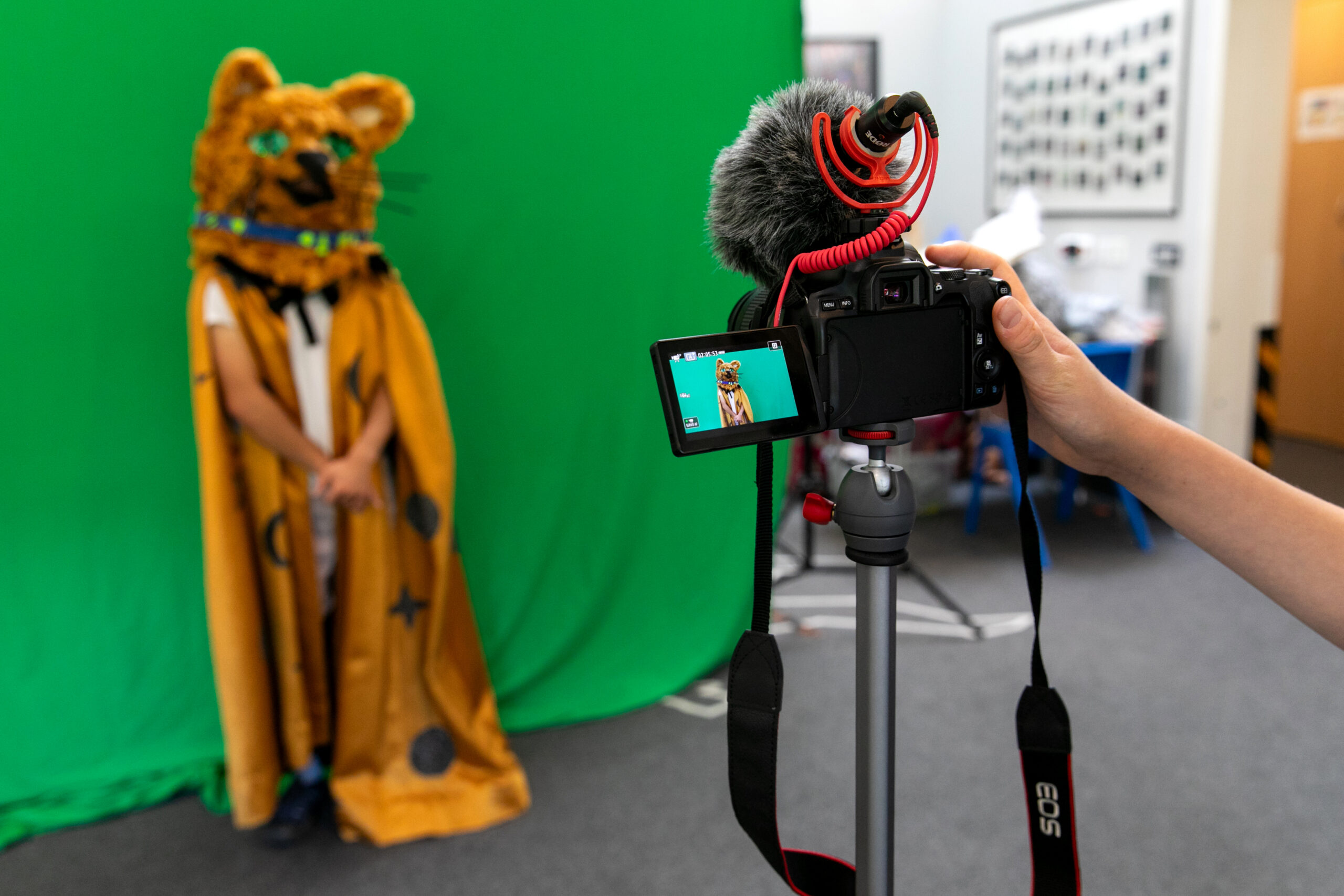 Film and Media creating an animal superhero show.
